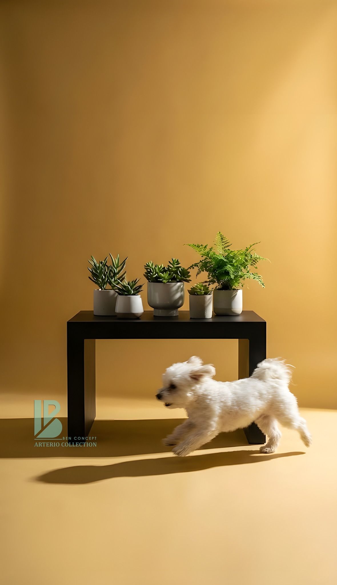 5 Quy tắc vàng Tối giản  để Phối hợp Xi Măng trong Thiết kế Nội thất Gia Đình