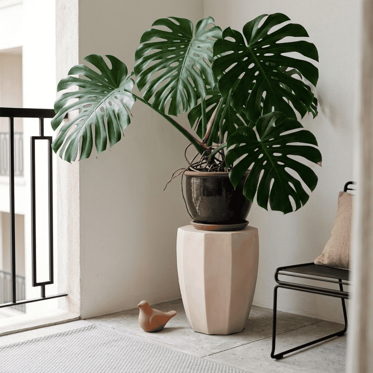 Khám phá BST The Summer Breeze: Làn gió thanh khiết từ khối bê tông lầm lì